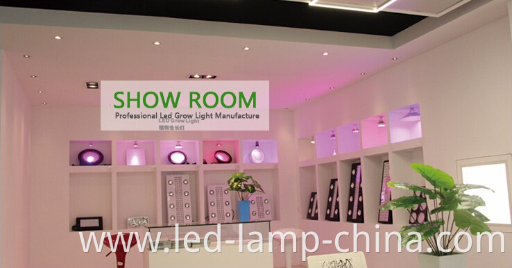 Show Room P